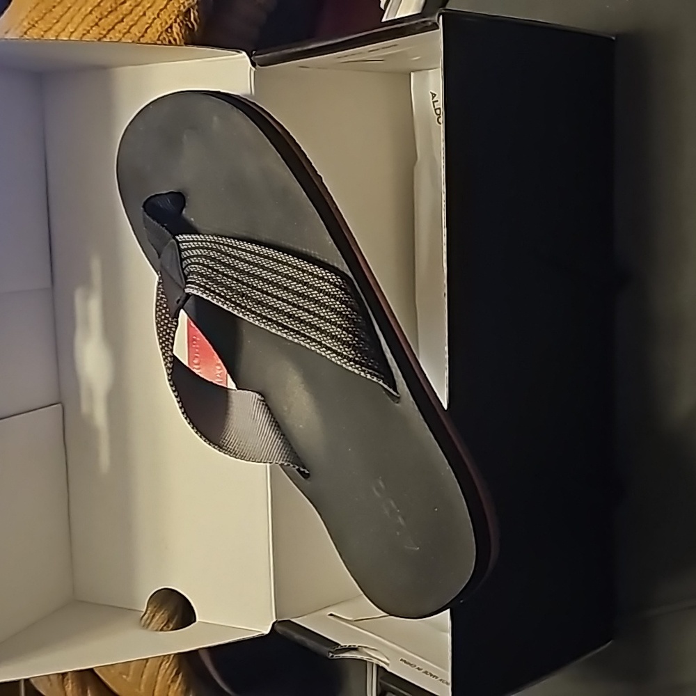Aldo Men's Flops